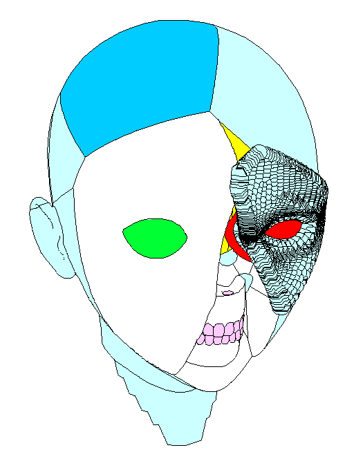 francoisegamma_fracturas