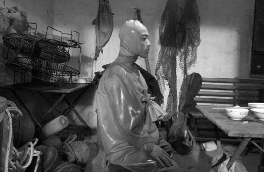 how do you eat an elephant