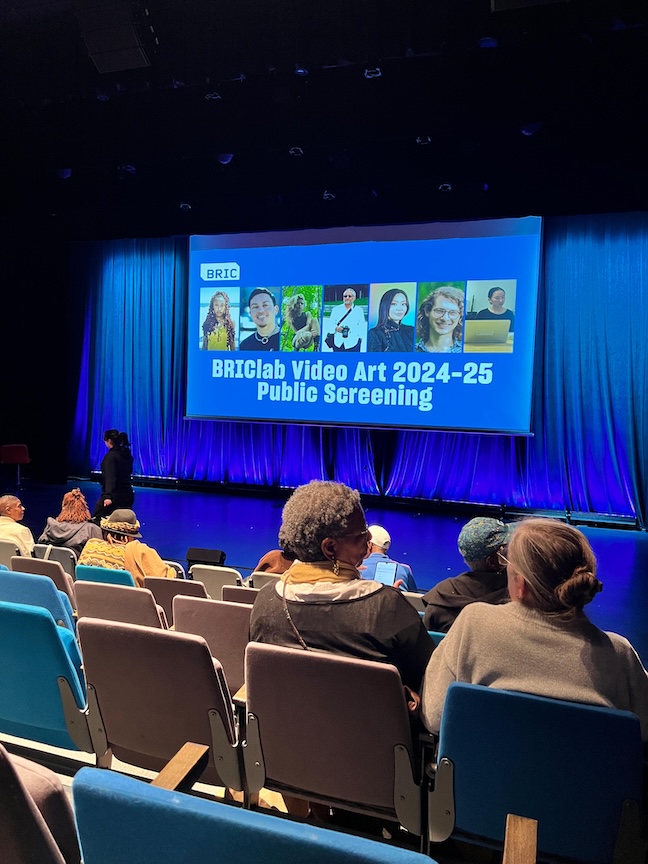 2024/25 BRIClab Video Art Residency: Screening & Talkback