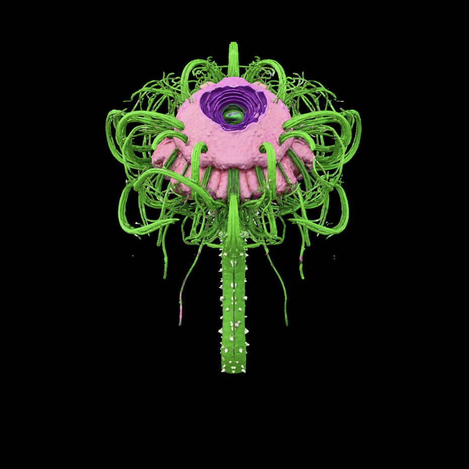 MOWNA Museum of Wild and Newfangled Art + ▒▒▒dreamRAM▒▒▒::newfangled verses&nbsp;exhibition